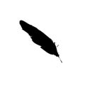 Black feather vector